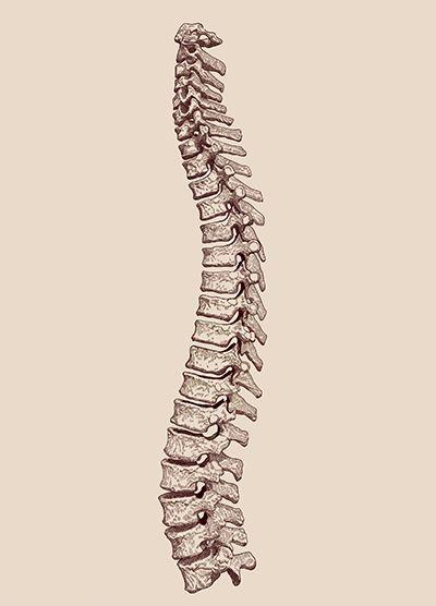 interna-cirurgia-coluna-400x556.jpg