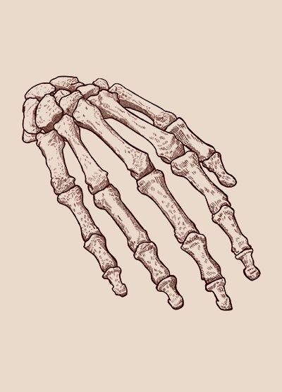 interna-cirurgia-mao-punho-400x556.jpg
